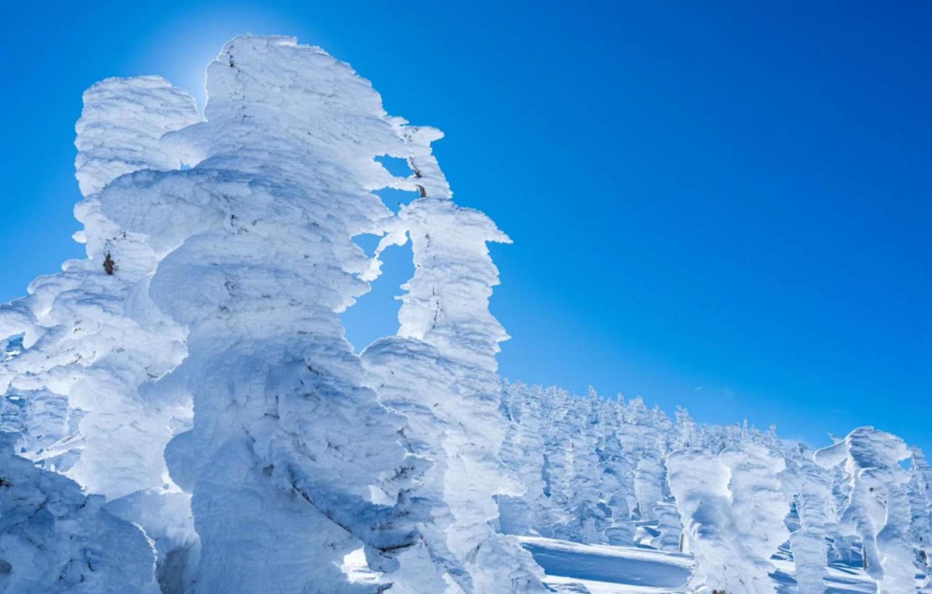 Snowfall Meteor 飛雪流星 Kaminoyama Luaran gambar