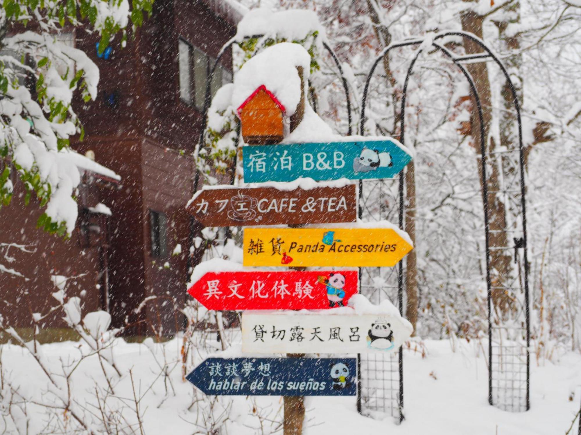 Snowfall Meteor 飛雪流星 Kaminoyama Luaran gambar